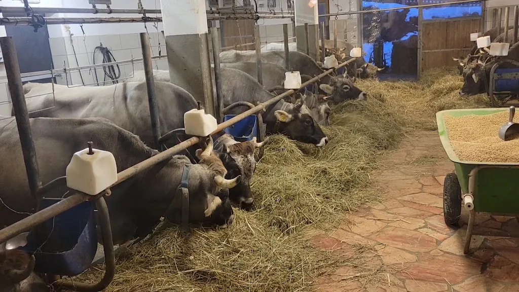 Agritur El Mas restaurant in Moena