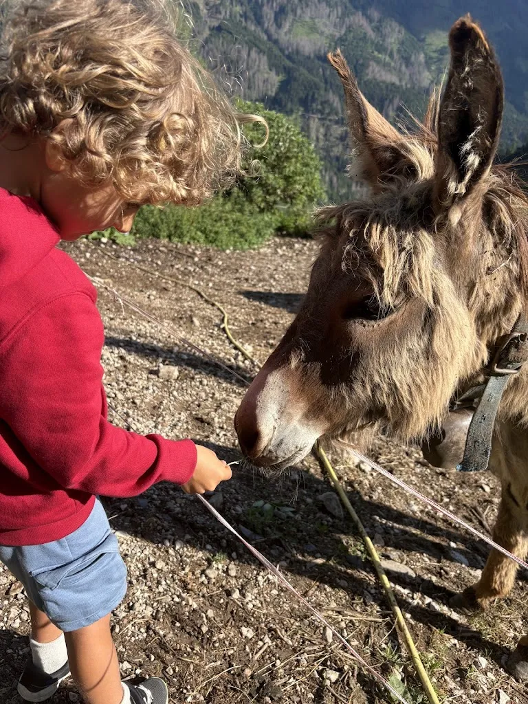 Happy Dogs Maui_Ristorante Malga Peniola_Moena_Bewertung