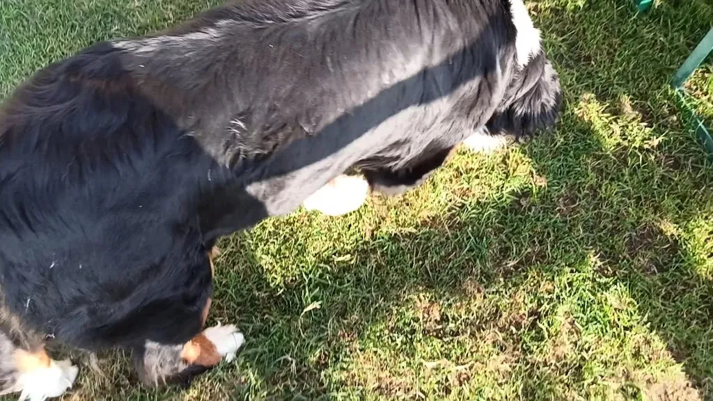 Ladritscher Hof_Nova Levante_slider_image_2