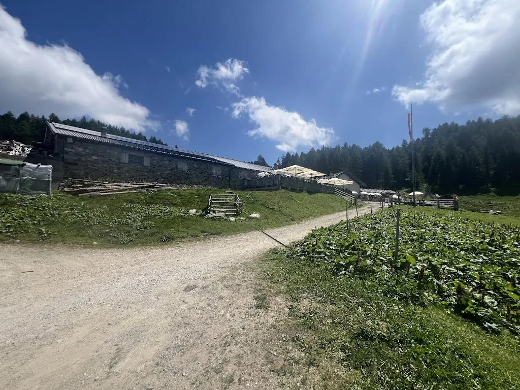 Naturnser Alm_Naturno_slider_image_2