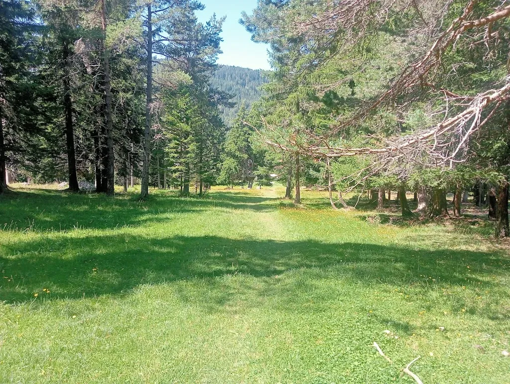 Omar Gatta_Ristorante Pietralba_Nova Ponente_recensione