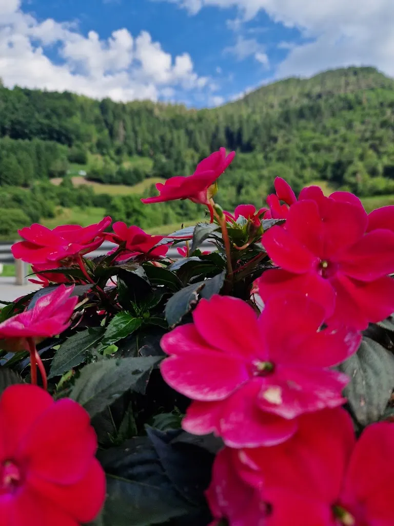 Gigliola Toninelli_BeB Trattoria Miravalle_Pieve di Bono_review