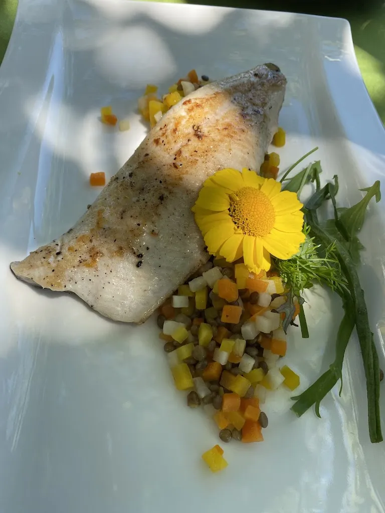 Alina Ilie_THEDL_Parcines_review