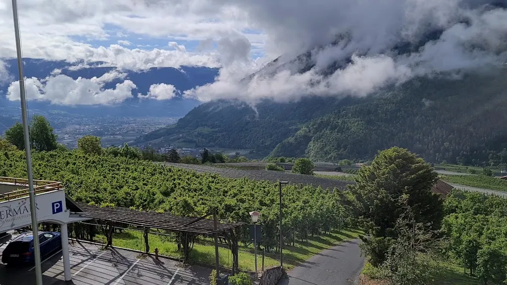 Hotel Niedermair restaurant in Parcines