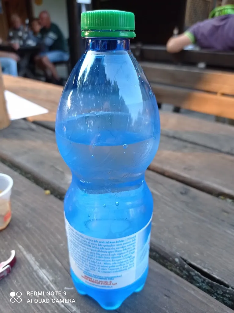 Menu_Pro Loco di Savignano e Amici di Servis_Pomarolo_image_3