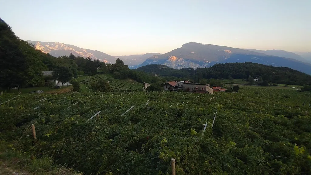 Pro Loco di Savignano e Amici di Servis_Pomarolo_slider_image_3