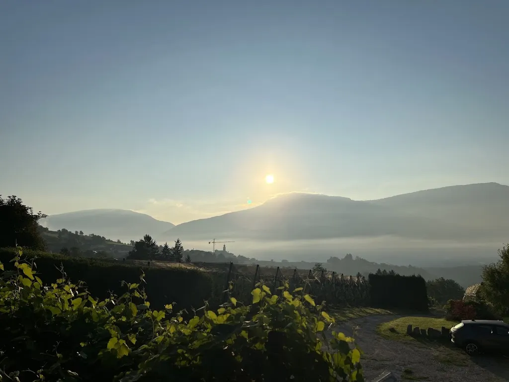 Tina “TB” B._Az. Agricola Agritur Maso Pra' Cavai_Ponte Arche_review