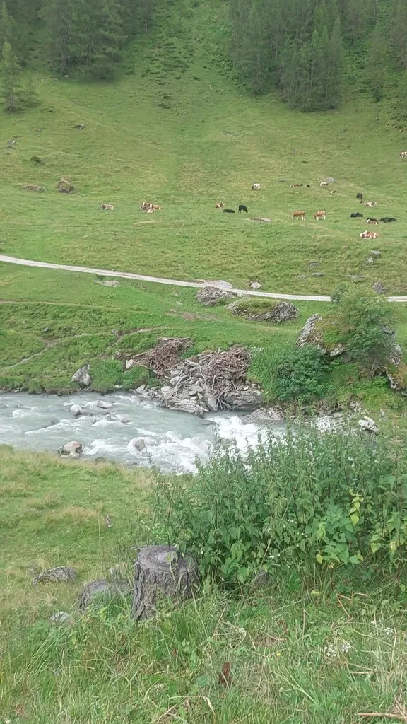 Mohammad Saeed Mohsin_Prastmann Alm_Predoi_recensione