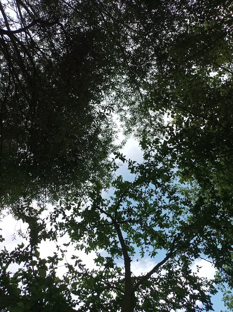 ladonnacannone_da Enzo ai salici_Martignano_review