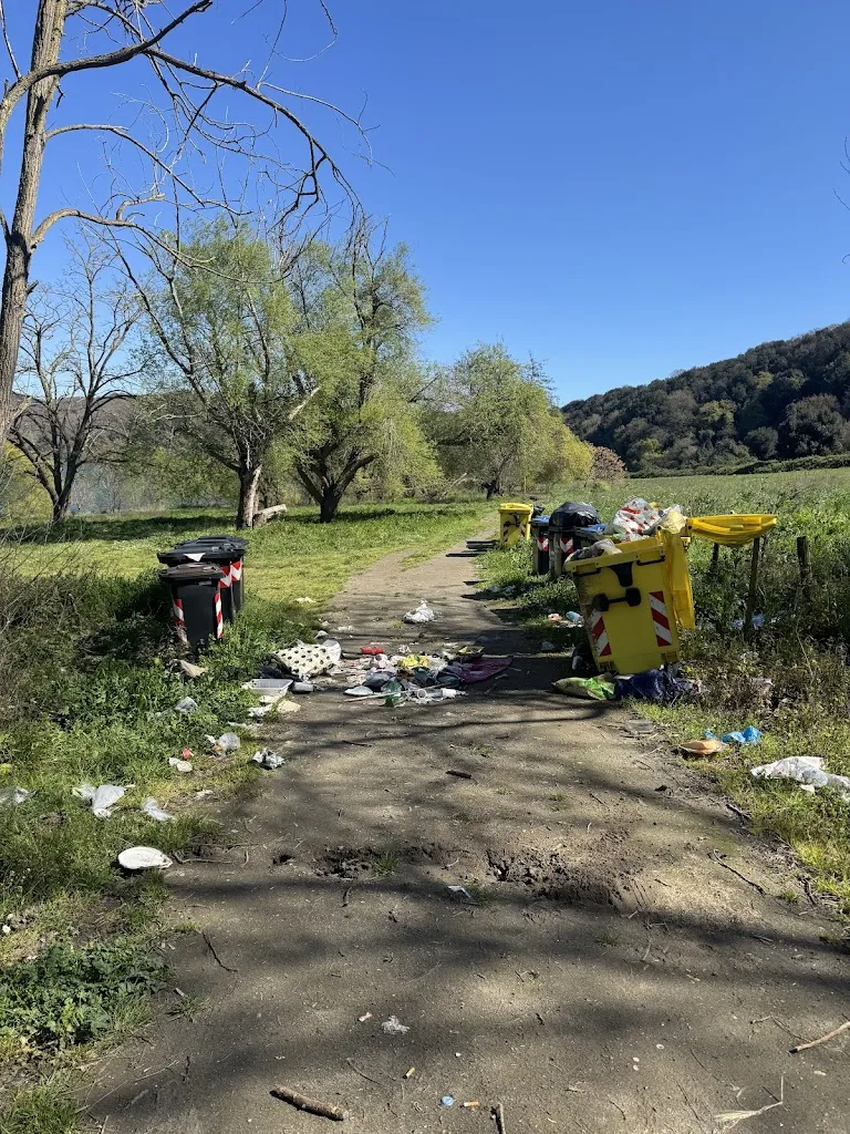 Endelvy Varrin_da Enzo ai salici_Martignano_review