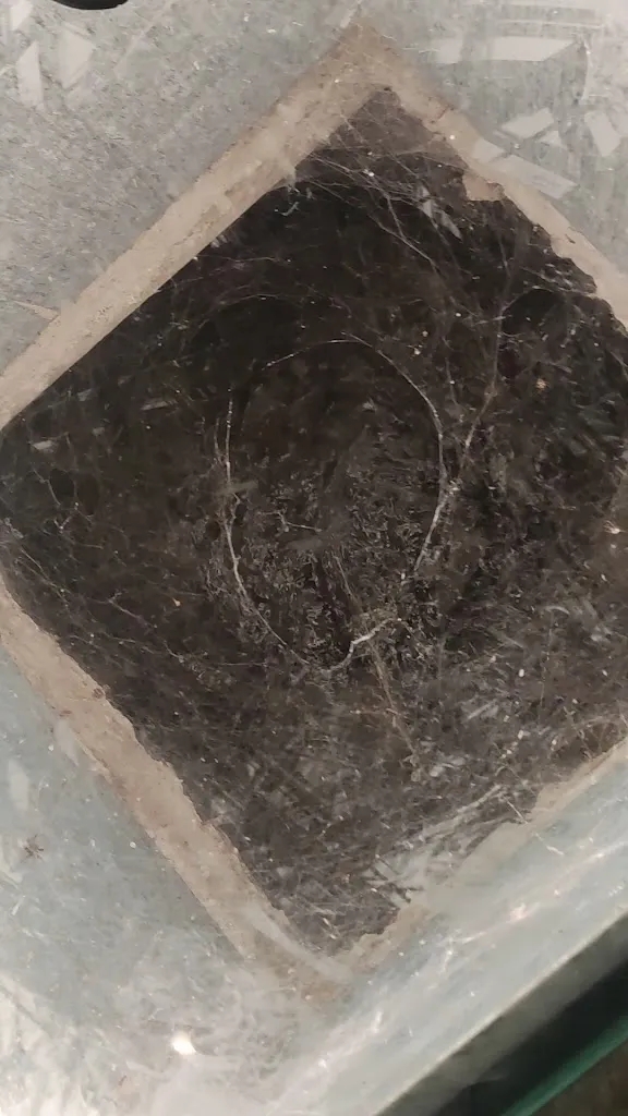 Kristina Galvydyte_Camping Residence Sägemühle_Prato Allo Stelvio_review