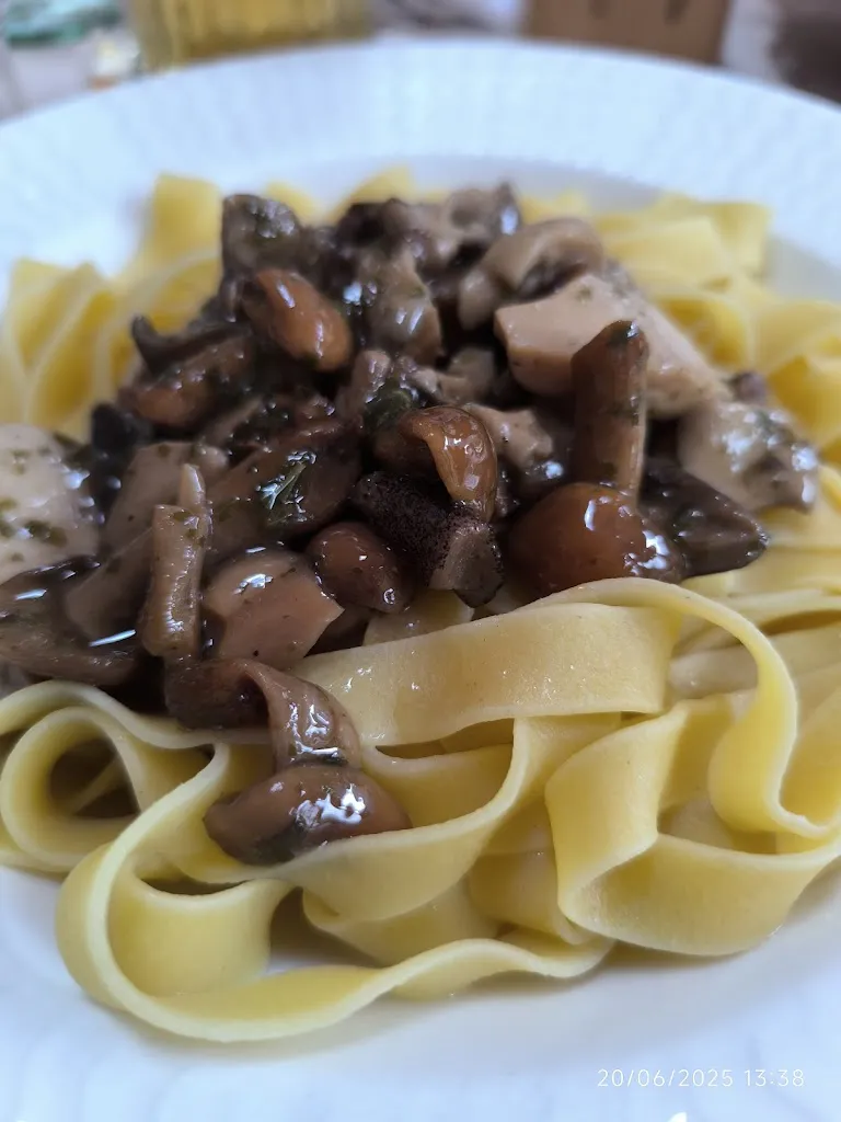 Mirco Poppi_B&B Ristorante affittacamere bar Al Molin_Rabbi Fonti_review