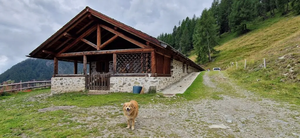 Rizzi Walter_Malga Polinar_Rabbi Fonti_review