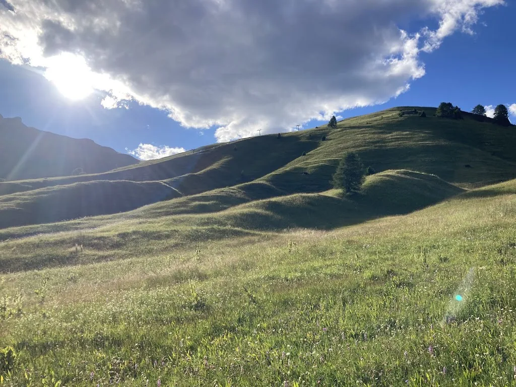 Maciej Gorzelak_Campeggio Valle Verde di Bosin Lucia & C. S.N.C._Predazzo_review