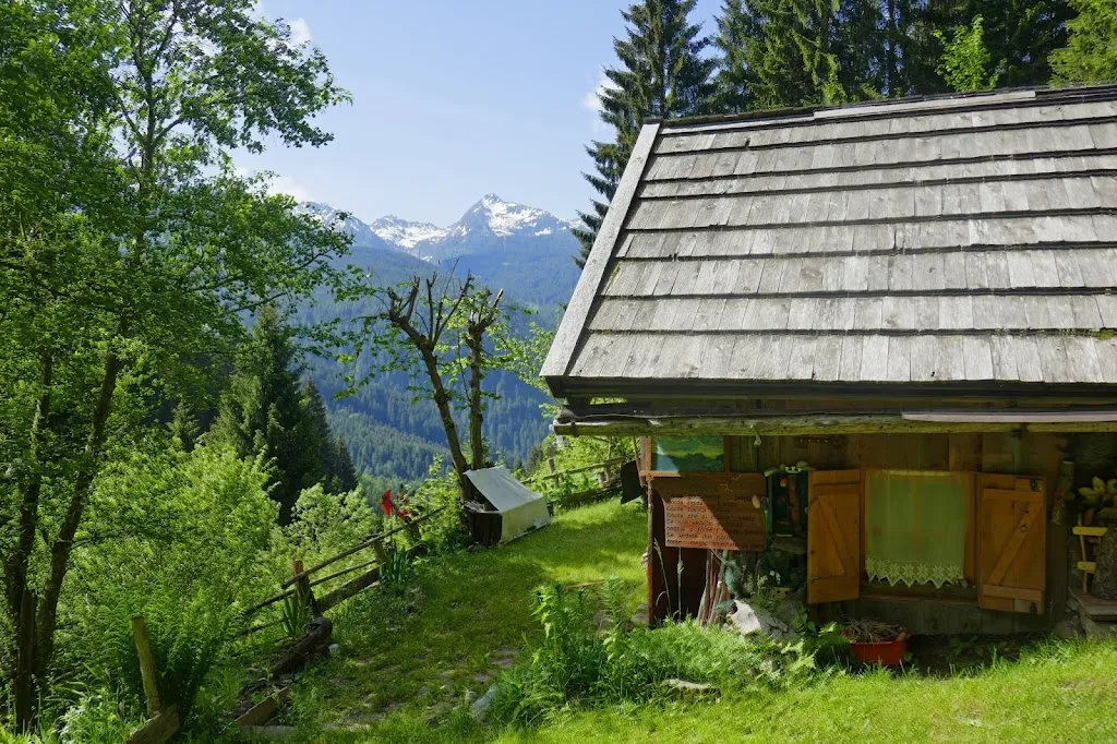 Carol Kubicki_Campeggio Valle Verde di Bosin Lucia & C. S.N.C._Predazzo_review