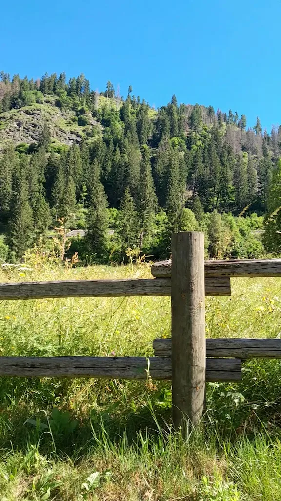 Campeggio Valle Verde di Bosin Lucia & C. S.N.C._Predazzo_slider_image_2