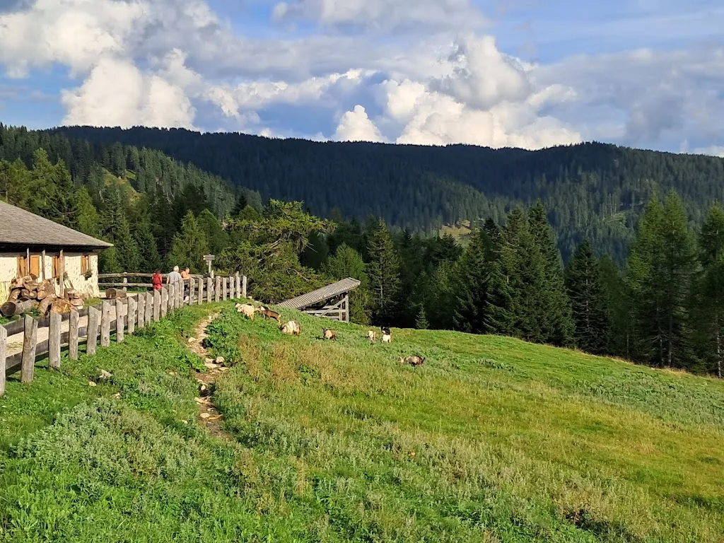 Malga di Revó_Revò_slider_image_3