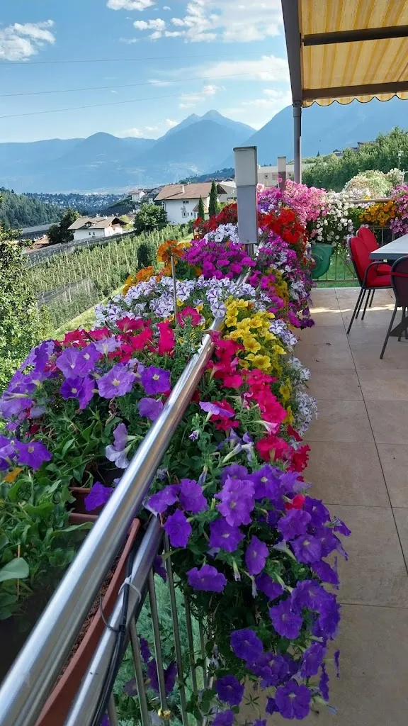 Spielegulch Spelz_Pension & Café Weinberg_Rifiano_review