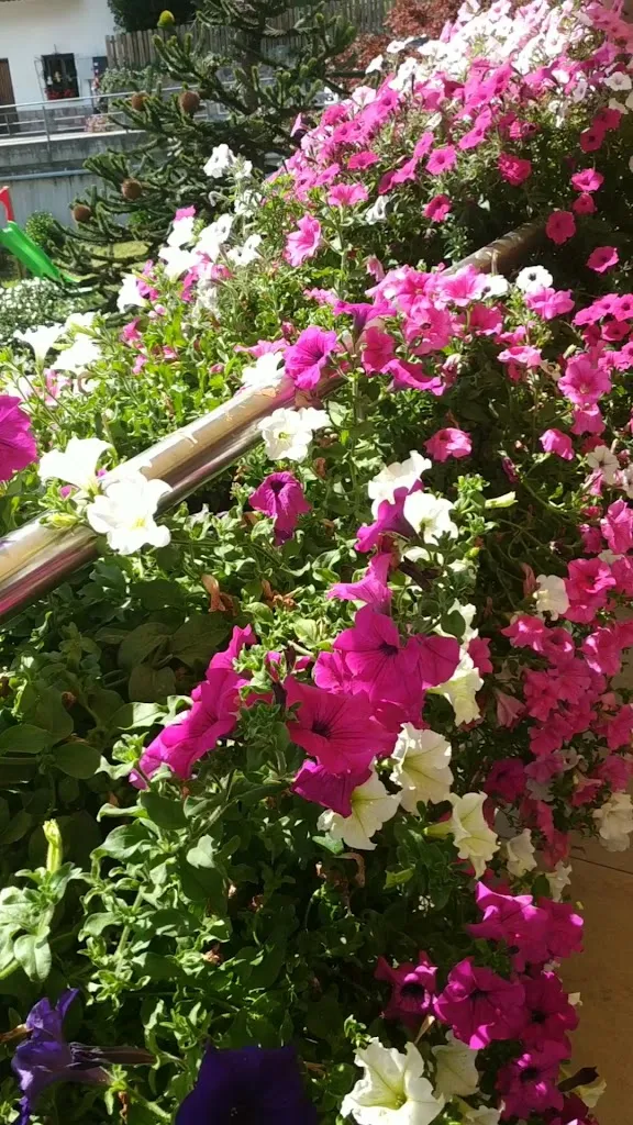 Pension & Café Weinberg_Rifiano_slider_image_2