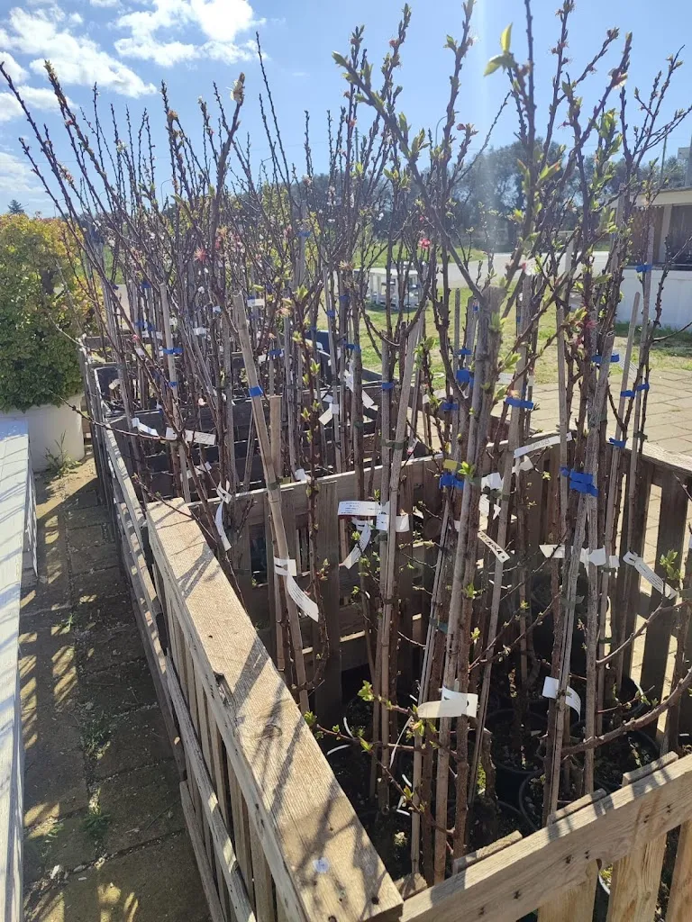 AZ.DA AGRICOLA LA FATTORIA DI MASHA MARUGGIO_Maruggio_slider_image_1