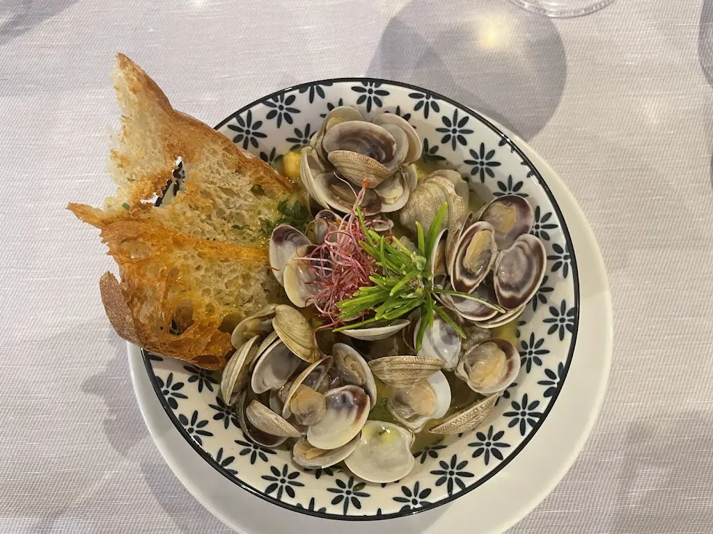 Carole Romano_Habitat23_Ravina_avis