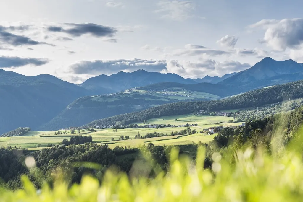 Obergasserhof restaurant in Rodengo - Rodeneck