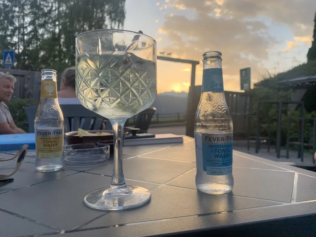 Jacopo Riccamboni_The Gin Pub_Ronzone_review