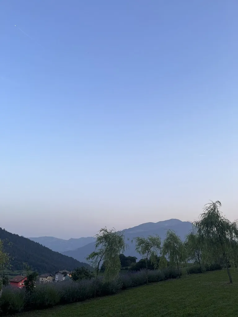 R Wörner_Agriturismo Concetta_Ronzo-Chienis_review