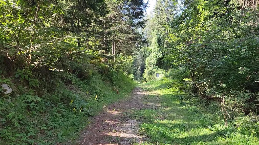 Arthur Sosa Jr._Forest Camp Val di Gresta_Ronzo-Chienis_review