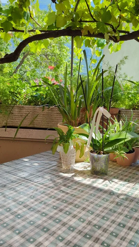 Kerstin Krenkel_Trattoria Castelbarco_Sabbionara_review