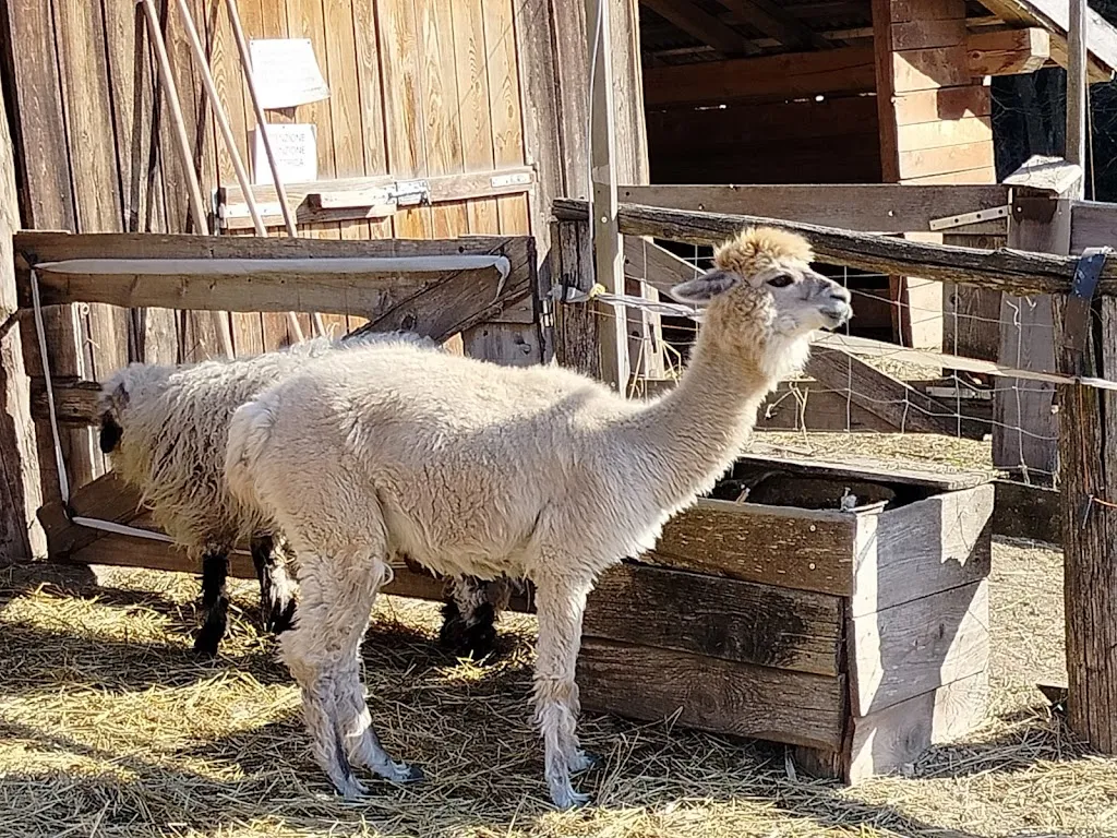 Food time_Agritur La Sabbionara_Sabbionara_review