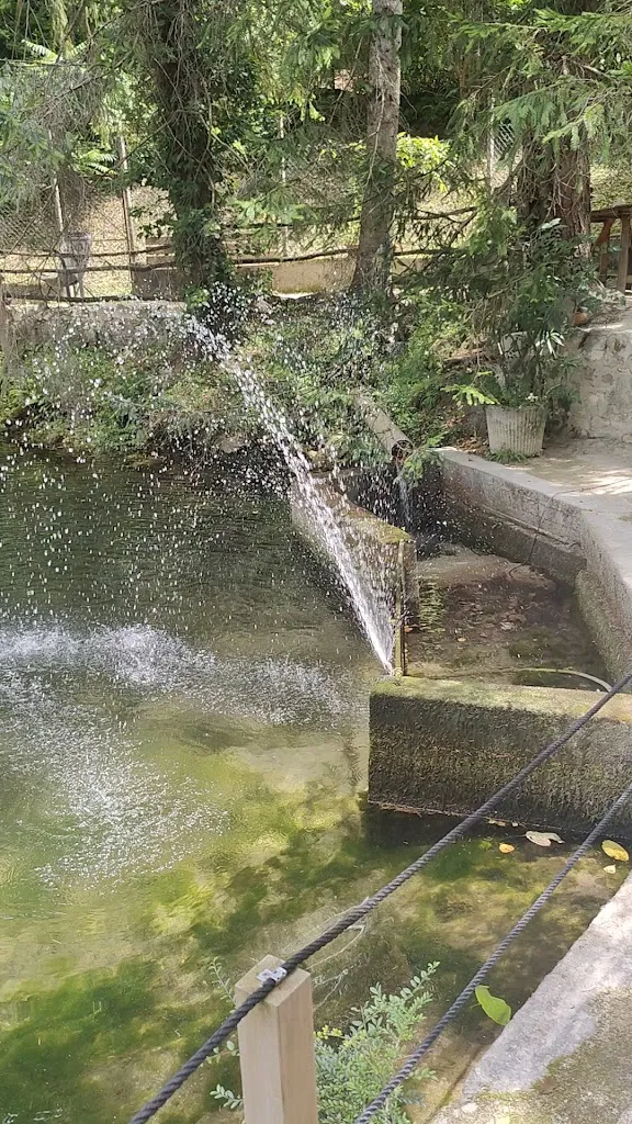 Dan Wood_Baita Garba_Salorno_review