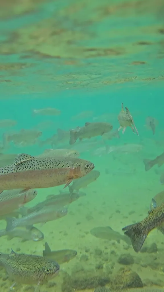 Baita Garba_Salorno_slider_image_1