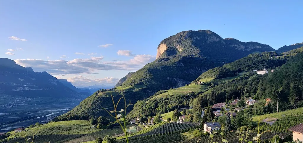 Joel_Perkeo_Salorno_review