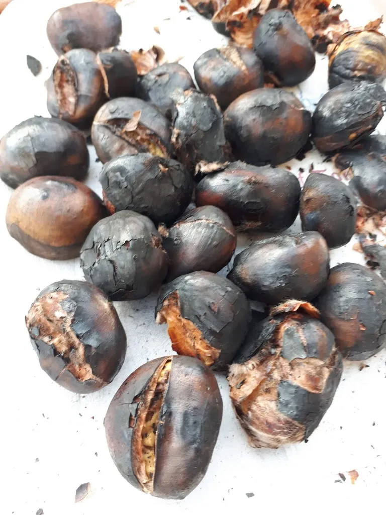 Menu_Gasthaus Tomanegger_San Genesio_image_8