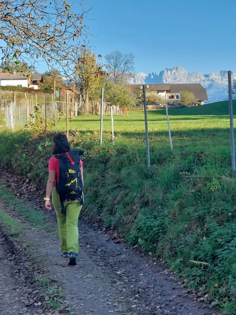 andrea govoni_Gasthaus Noafer_San Genesio_review