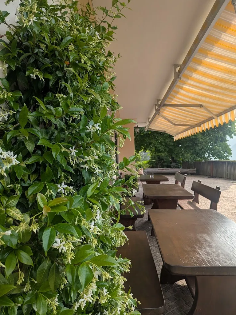 Miho Sjoquist_Unterweg_San Genesio_recensione