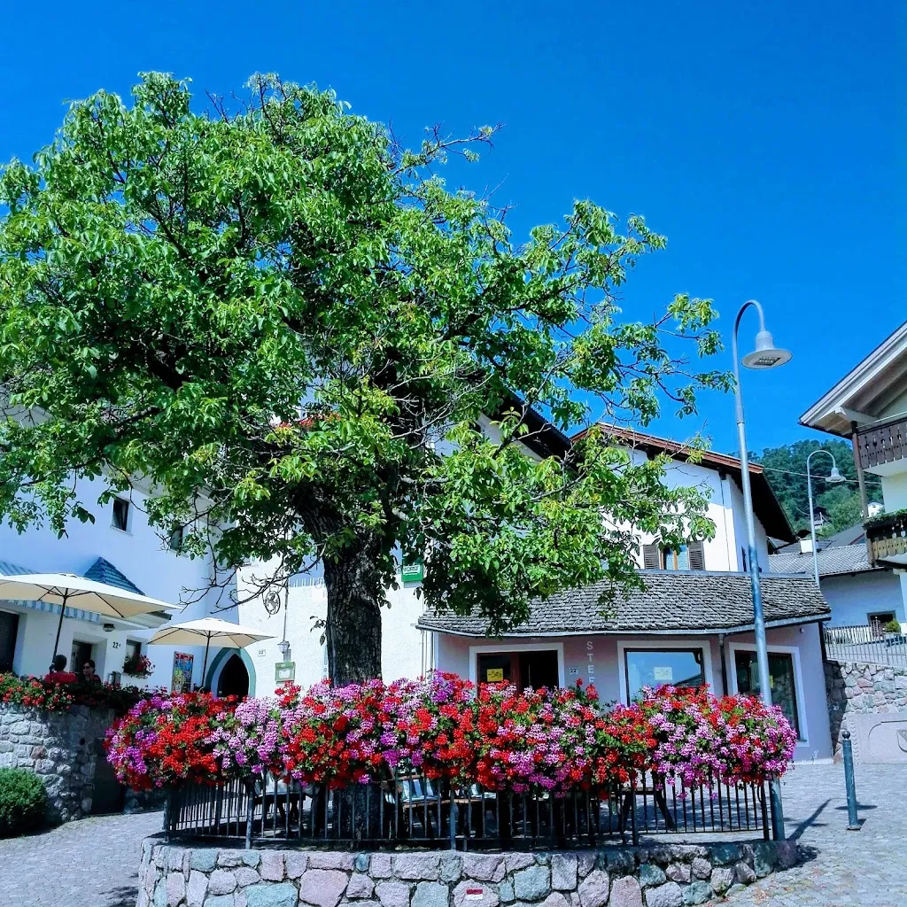 Albergo Cavallino restaurant in San Genesio