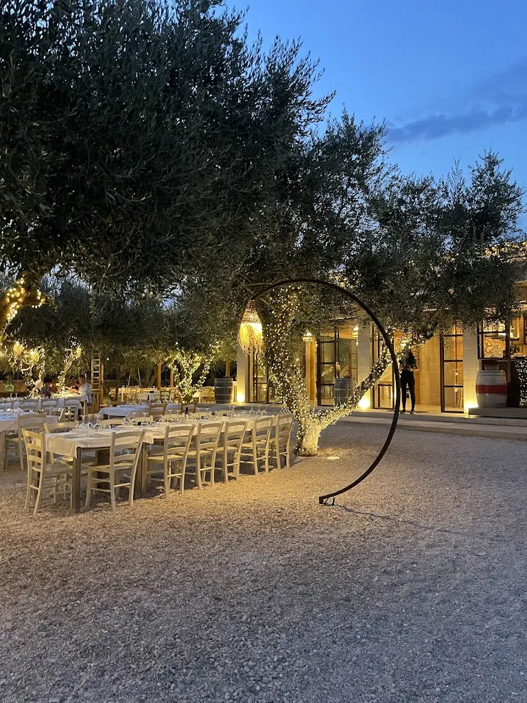 Gianna Gargano_Contado degli Ulivi_Maruggio_review