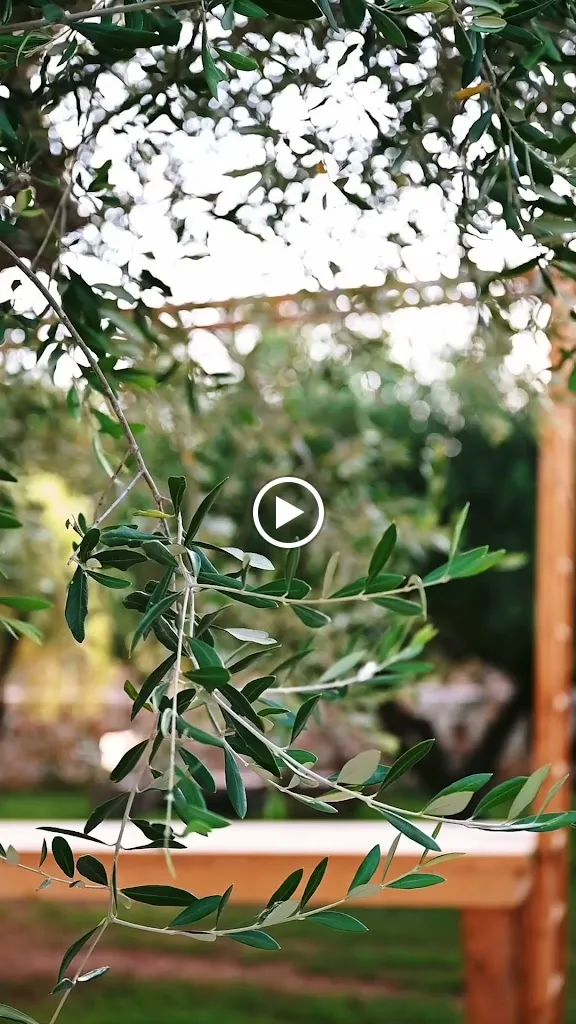 Contado degli Ulivi_Maruggio_slider_image_2