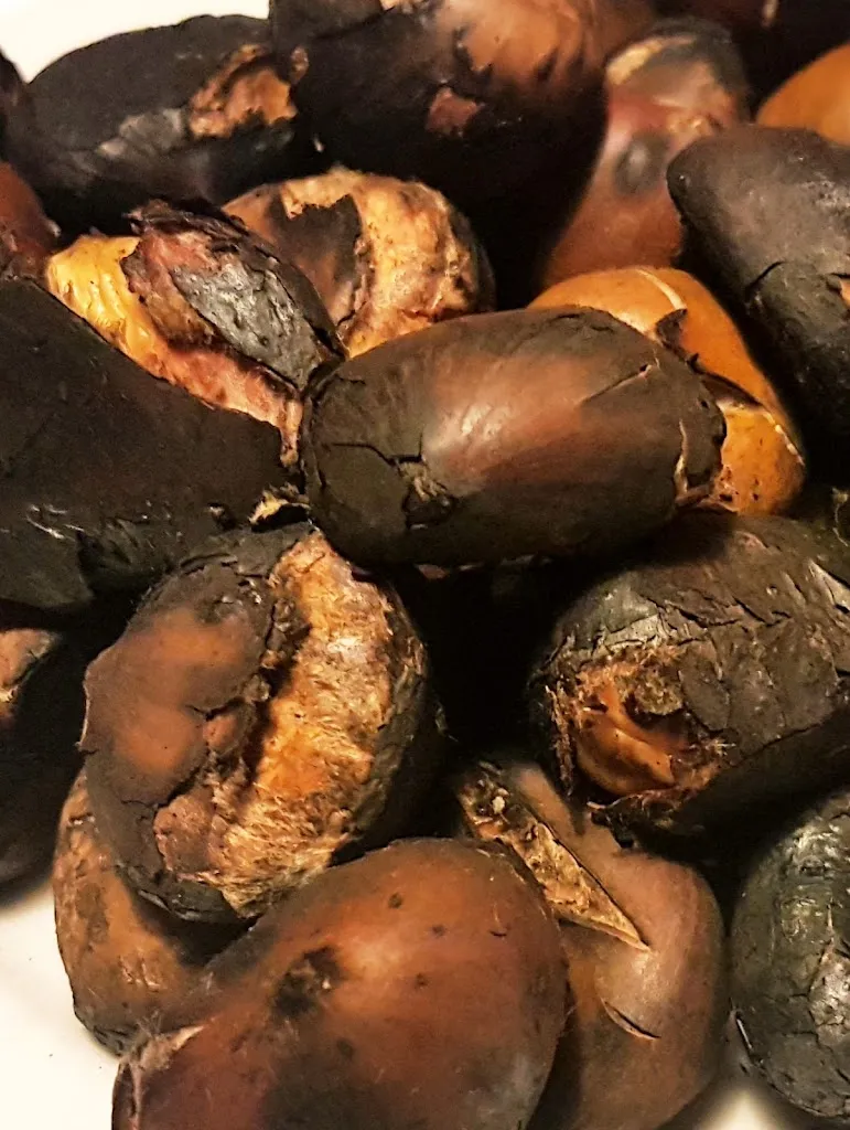 Menu_Restaurant Köfererhof_Sciaves_image_9