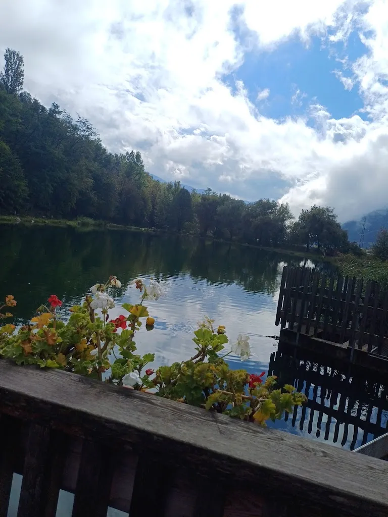 Muhammad Ayyan_Fischerstube_Sciaves_review