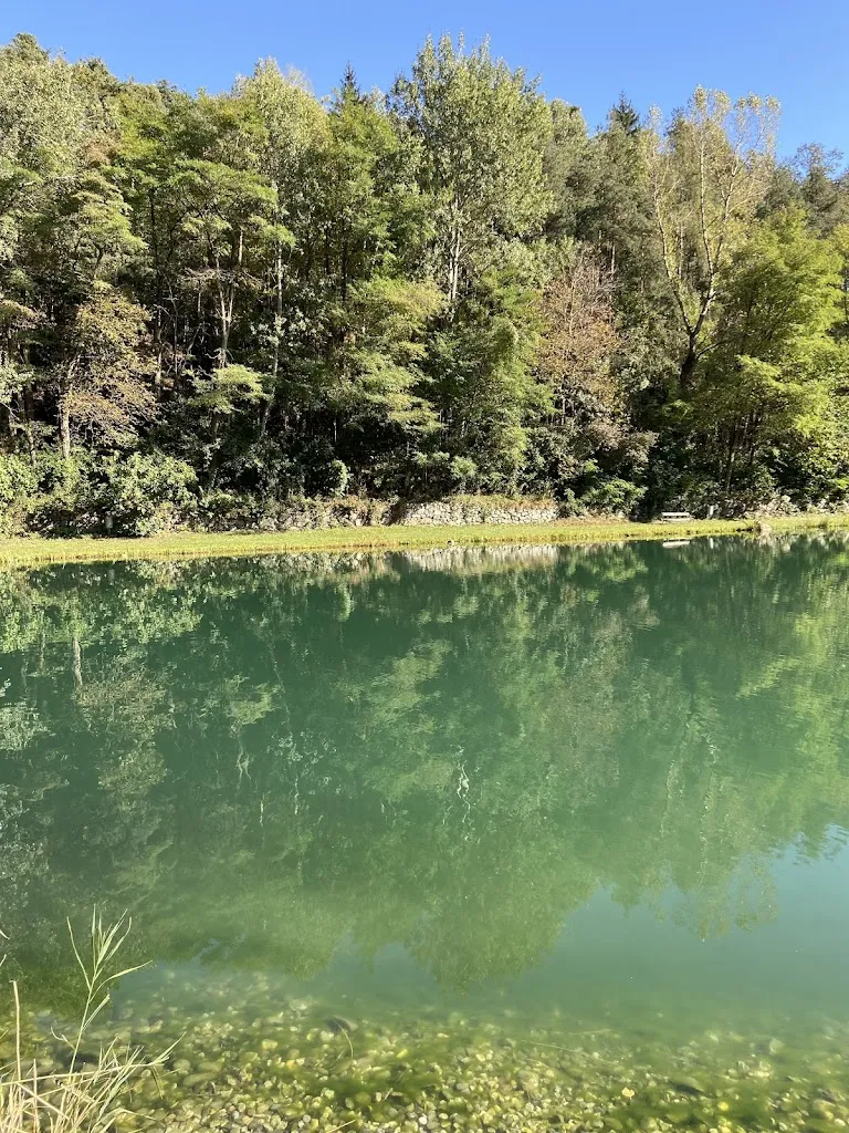 J H_Fischerstube_Sciaves_review