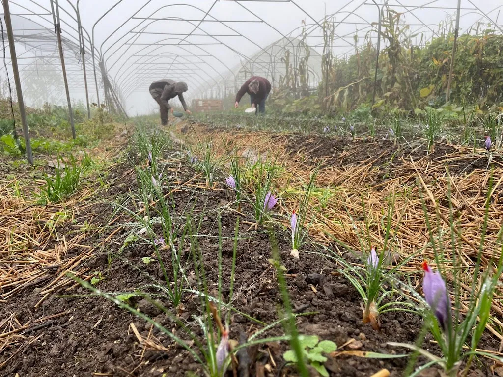 Angelique Valk_Agriturismo Blum_Scurelle_review