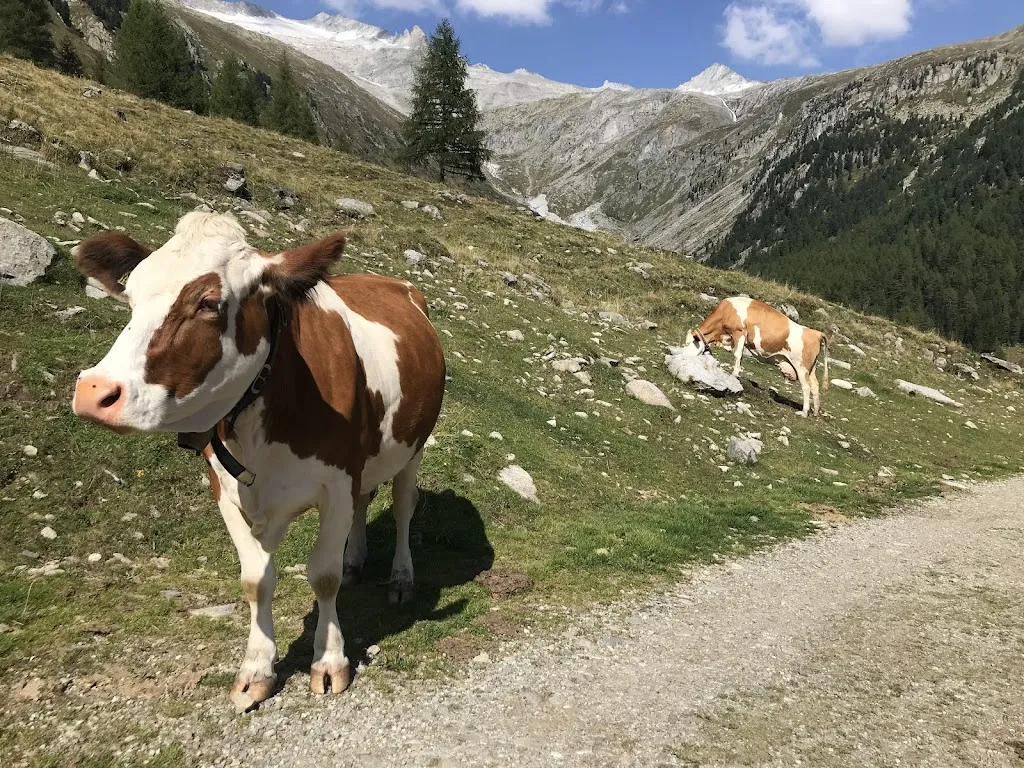 Maria Cieślak_Nevesalm/malga Neves_Selva dei Molini_review