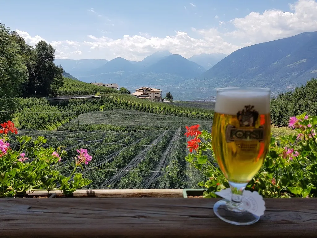 Ulrich Schellhaas_Hotel Moserhof_Scena - Schenna_review