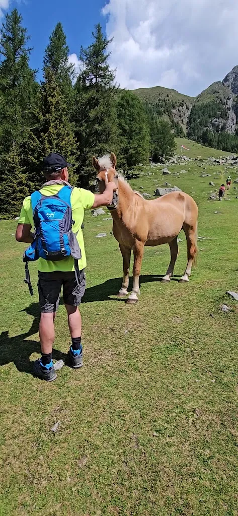 Ifingerhütte_Scena - Schenna_slider_image_2