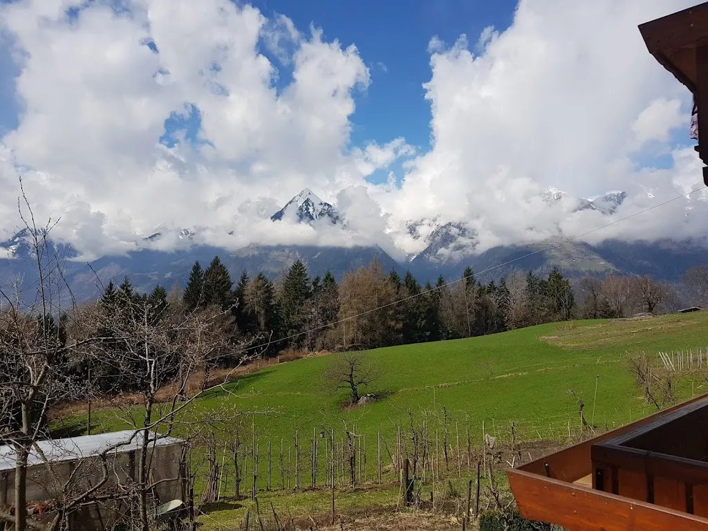 Jakob Jackson_Buschenschank Salfgut_Scena - Schenna_review