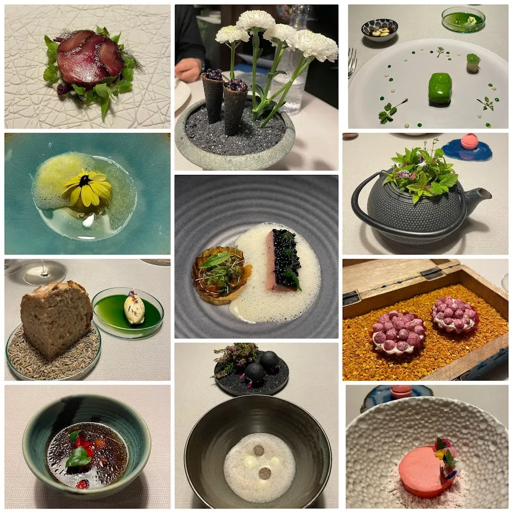 dbajune_Terra The Magic Place_Sarentino_review