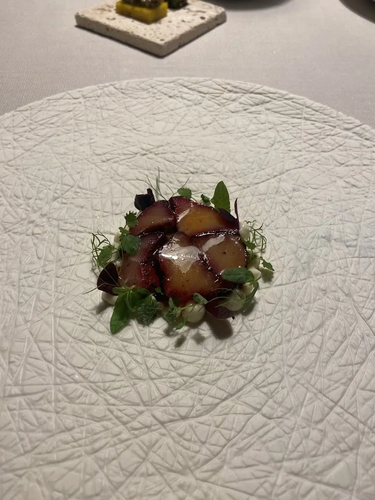 Alexander Schachter_Terra The Magic Place_Sarentino_review